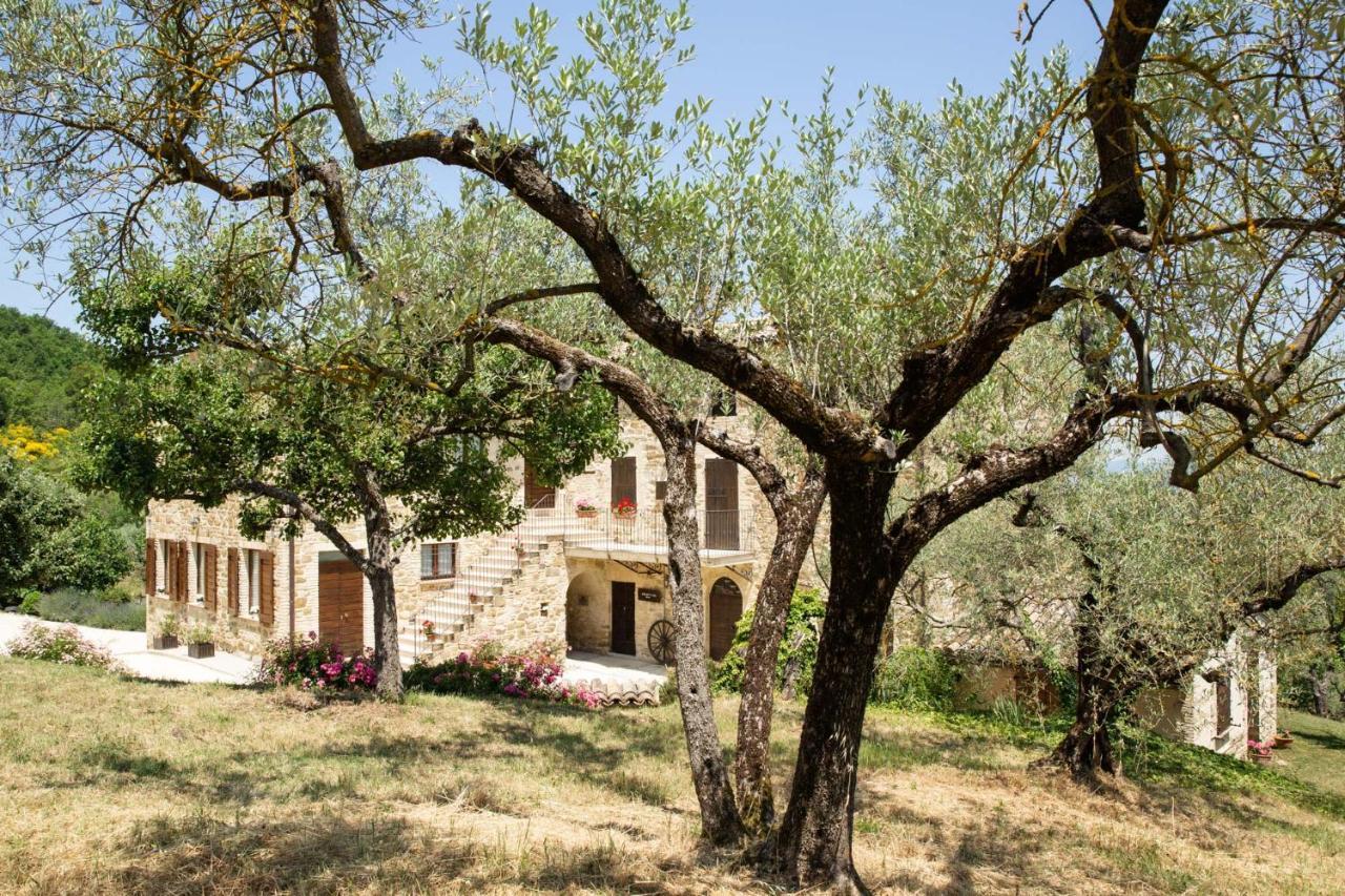 Villa Colle Di Rocco Limigiano Eksteriør bilde