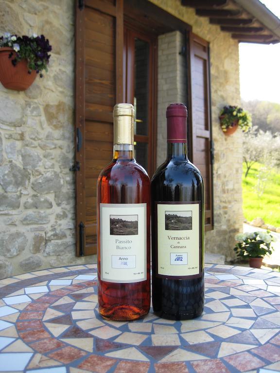 Villa Colle Di Rocco Limigiano Eksteriør bilde
